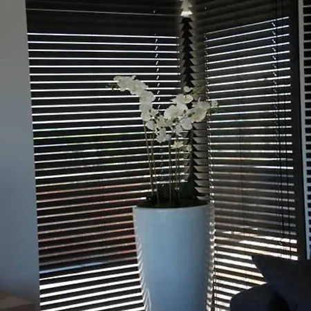 Appartement Duplex Penthouse Plaza