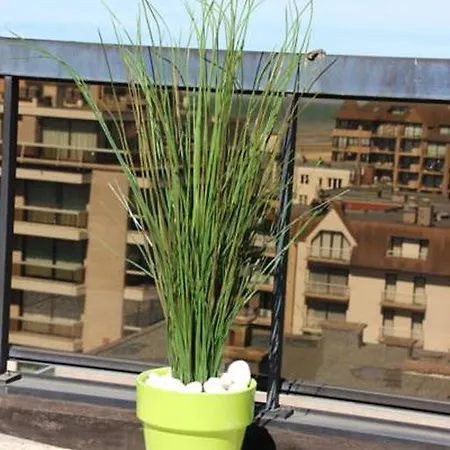 Duplex Penthouse Plaza *